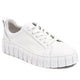 White-Silver