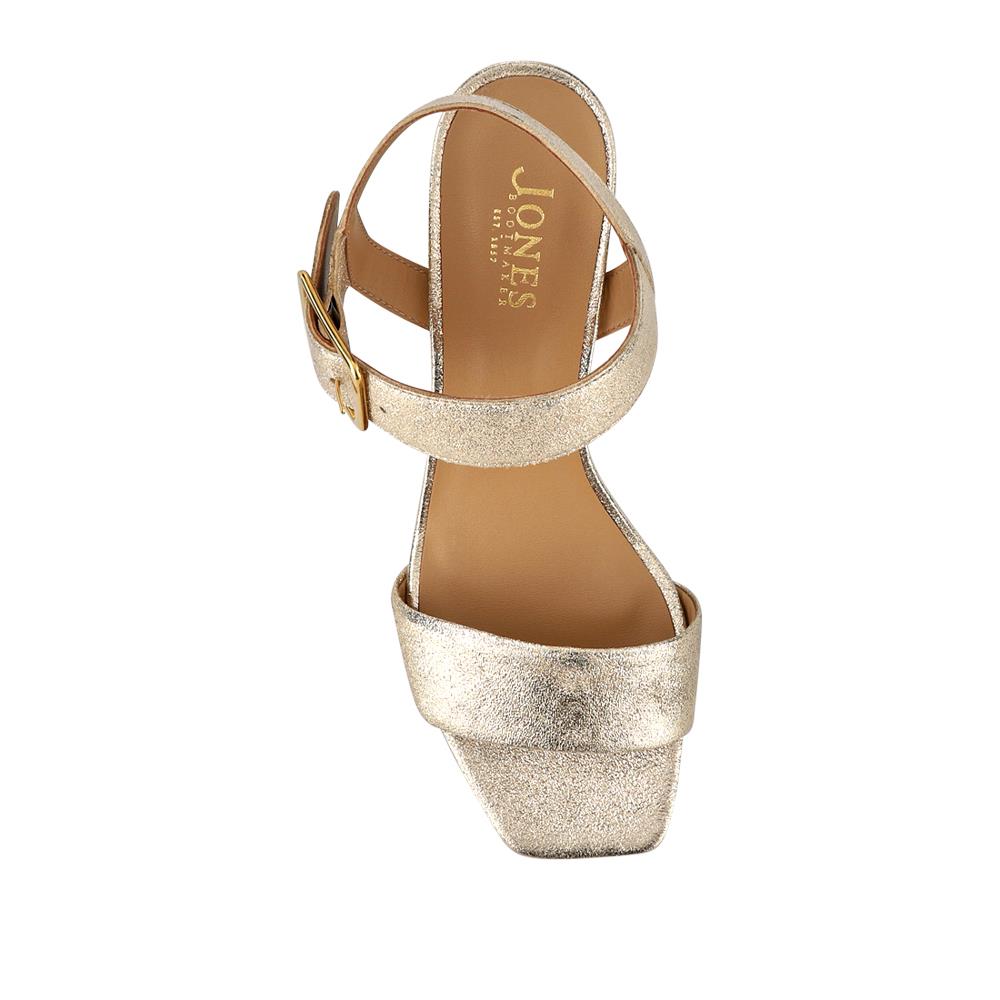 Gold Shimmer